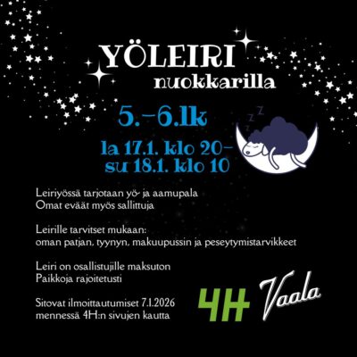 Yöleiri